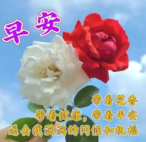 早安图片暖心祝福图片早安问候语关怀的祝福语短句