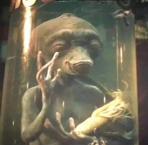 用外星人泡酒?药酒还真不能随便配,否则后果很严重