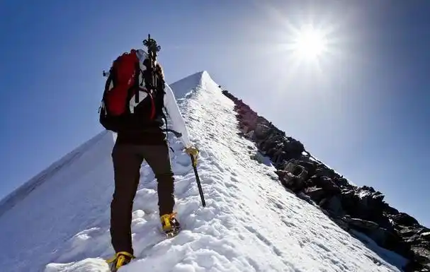 金发拉比,锦泓集团,格林美,小康股份,谁是攀登高峰真龙头呢?|次新股|