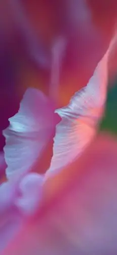 华为p40系统原生壁纸,高清锁屏图片,手机壁纸-桌面城市