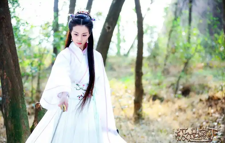 李溪芮极品家丁高清剧照图片