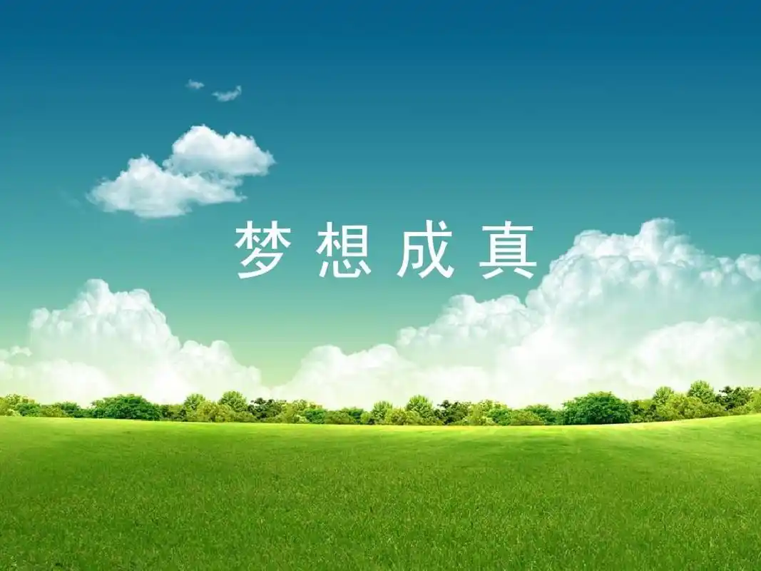 梦想成真1ppt