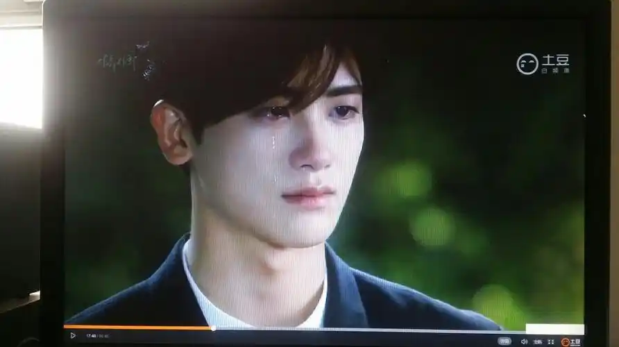 堆糖,美好生活研究所