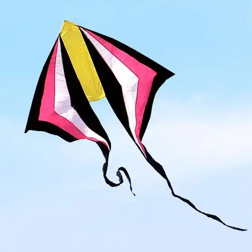 恒江旗舰店的优惠券大全—风筝潍坊恒江菱形个性成人大型长尾微风初学