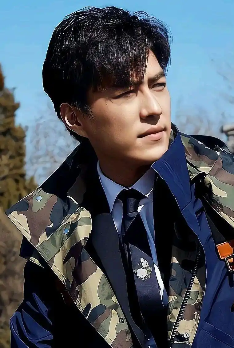 明星写真～靳东