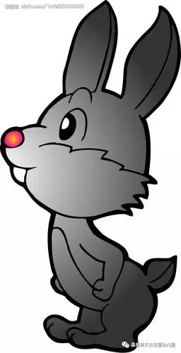 原创故事 ∣ 善良的黑珍珠