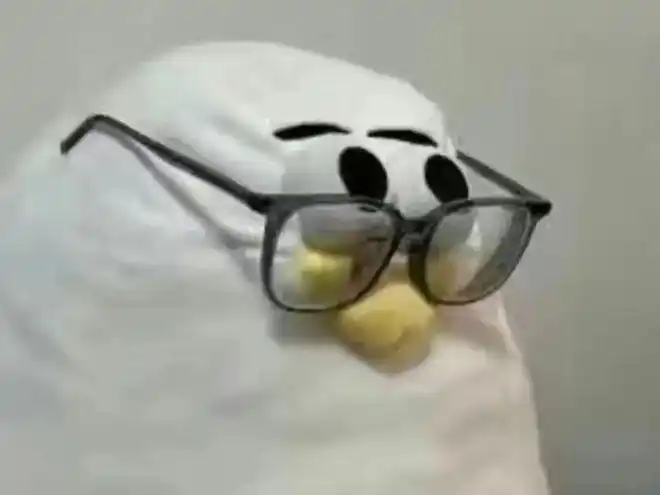 饱和式精神污染:马兆是怎么变成海鸥的?