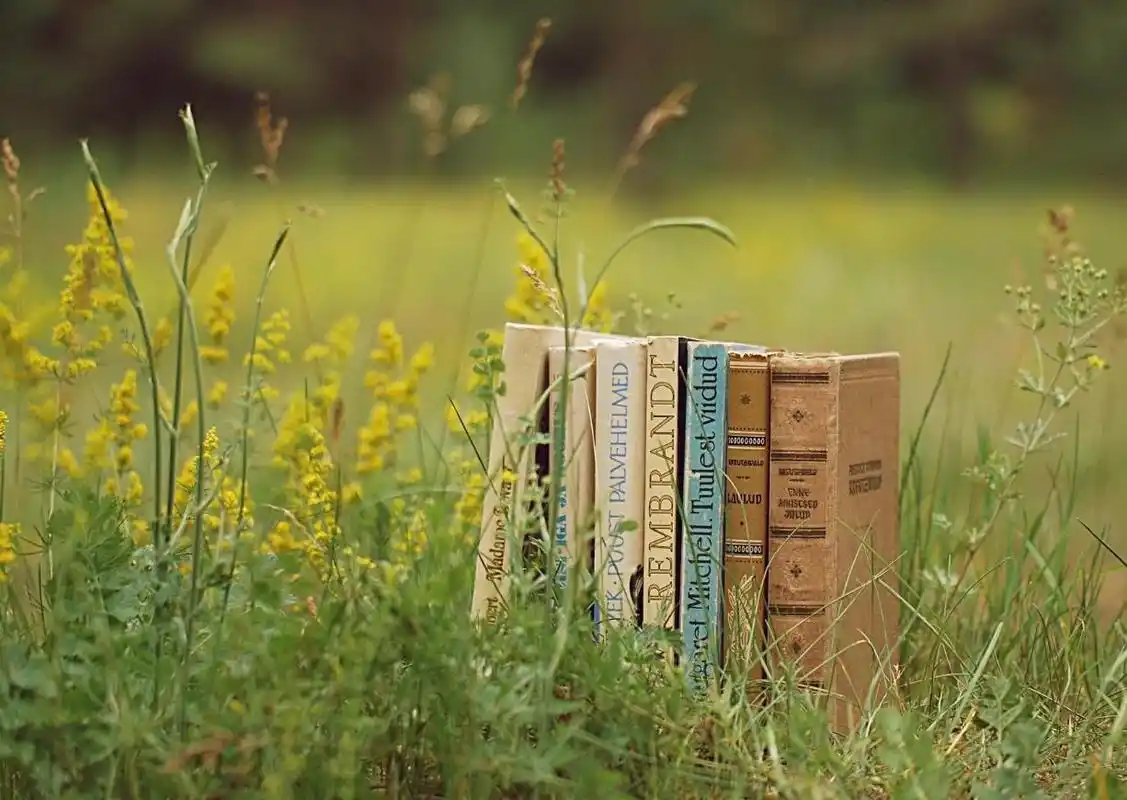 唯美简单淡雅的句子清新优雅的文艺范句子