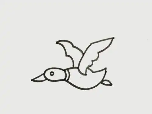 大雁简笔画图片大全,图片,简笔画-学笔画