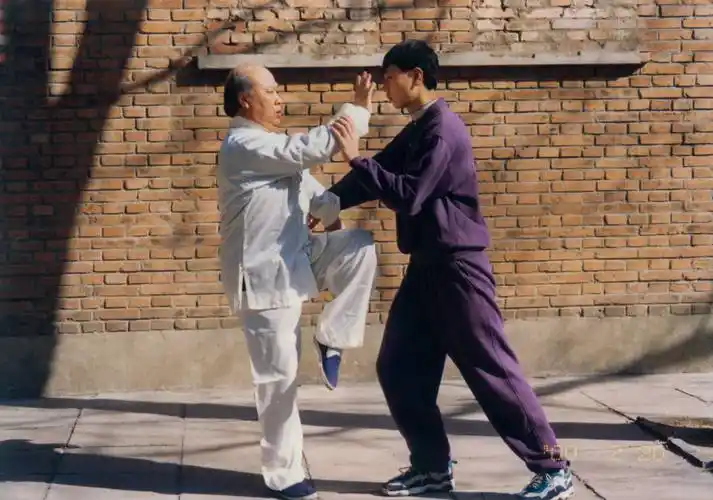 "拳"梦寄馀生——访宋氏三皇炮捶拳 第五代传人张成仁