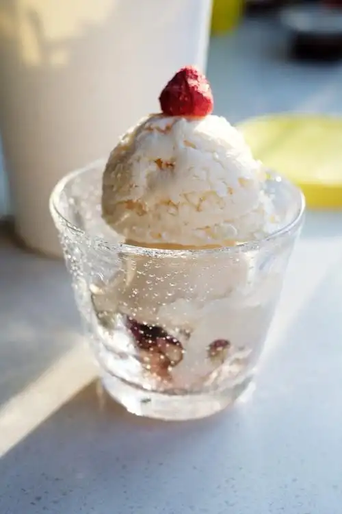 0夏天0做的傻瓜式酸奶冰淇淋(冰淇淋机制作)