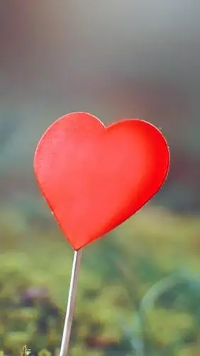 唯美的爱心图片