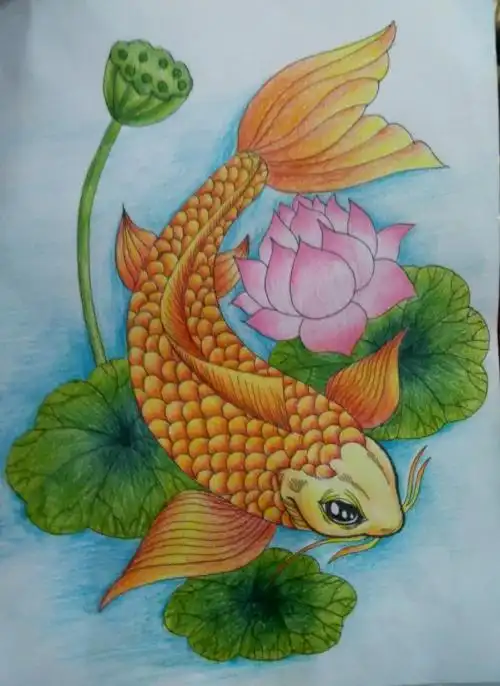 中学生彩色简笔画搜索