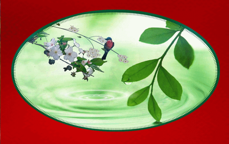 【gif-动图】—音画制作椭圆动态素材 同步歌词