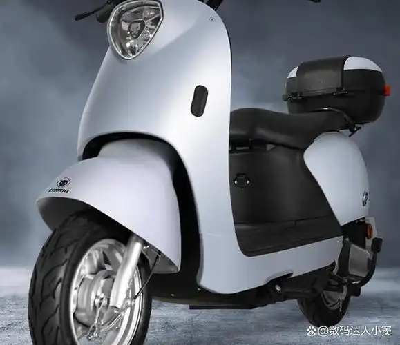 电动车哪个牌子好电瓶耐用性价比高?揭秘电动车排名前十名