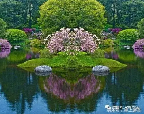 花园仙境美景(太美了,送给爱花的朋友们!