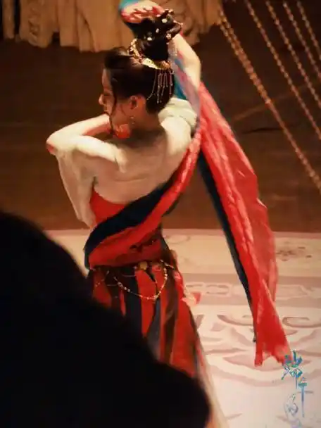 随便追追的微博视频