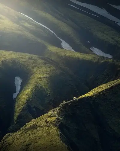 1080_1350竖版 竖屏