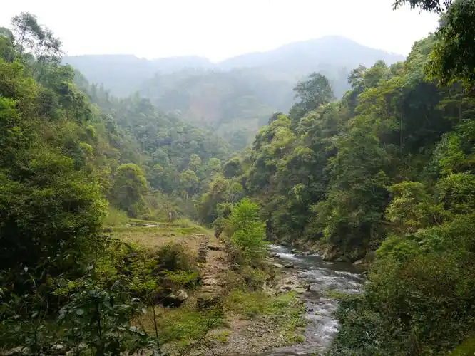 云桂黔川十万大山