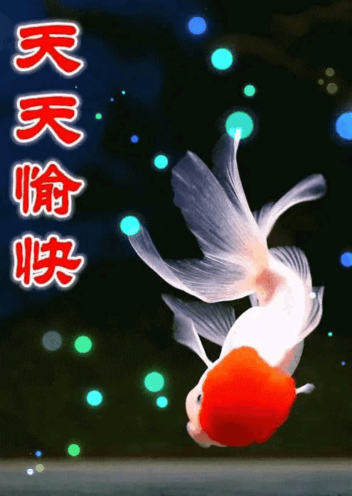 动态祝福→祝你日子红火,幸福安康! - 美篇