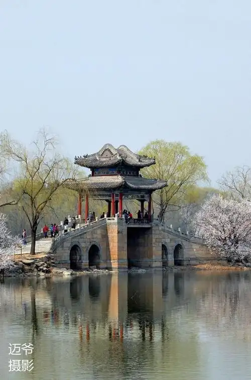 颐和园知春亭-原创摄影|西堤|知春亭|颐和园_新浪新闻