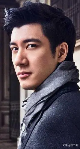 如何评价王力宏的颜值和气质?