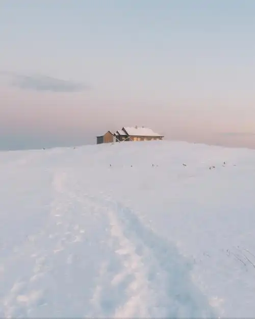 7815"冬天的雪是天上揉碎的云"