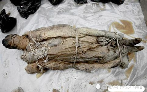 第二具不腐女尸是出土于泰州市.