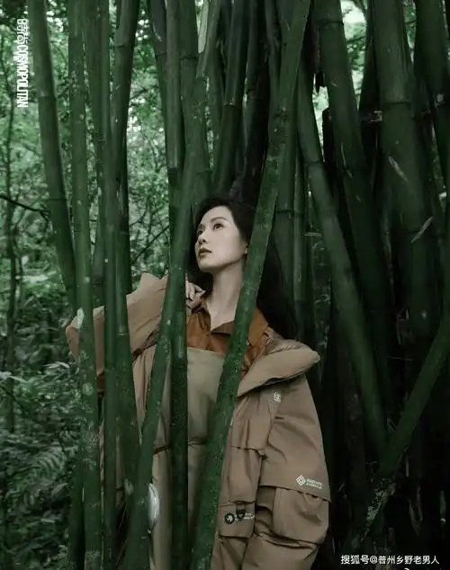 据悉,刘诗诗接受了某杂志的专访,谈到了自己的职业生涯和个人生活.