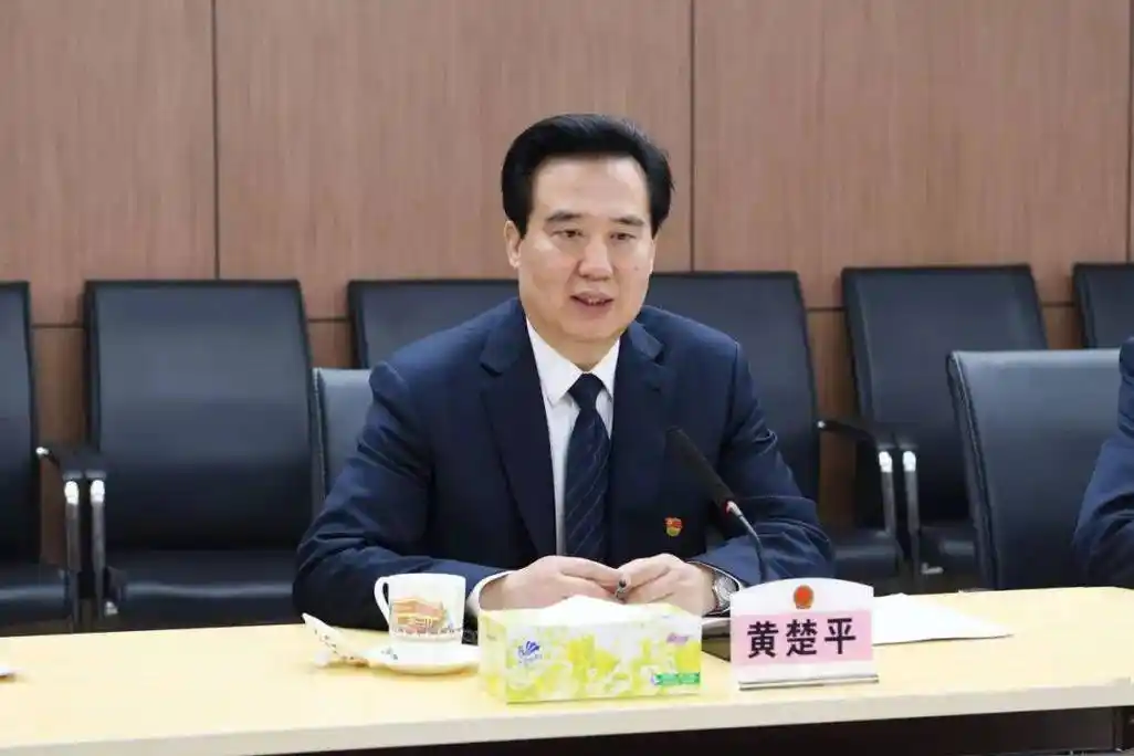 黄宁生,叶贞琴,陈如桂,张硕辅当选副主任_武汉_湖北_职务