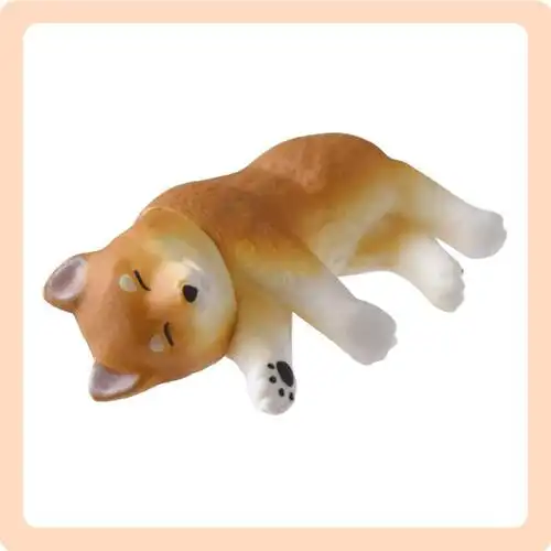 人见人爱的激萌柴犬才不是只有表情包呢