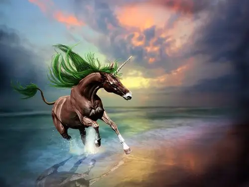 创意设计图片,棕色独角兽,海滩,日落 壁纸 - 2560x1920