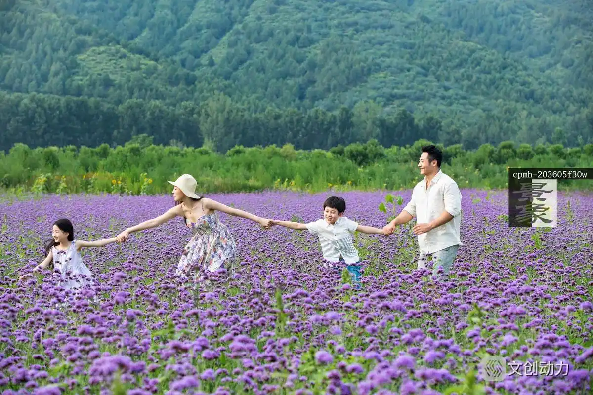 一家四口手牵手走在花海里