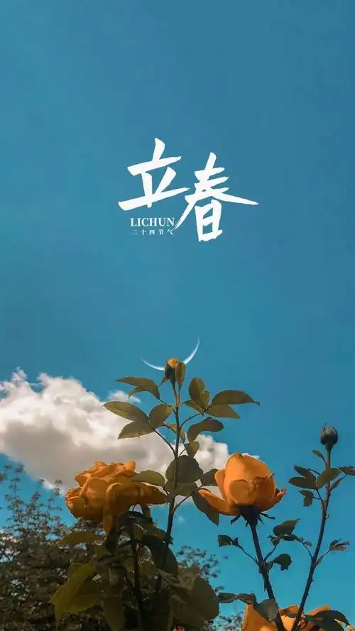 2021年立春时节,高清图片,手机壁纸