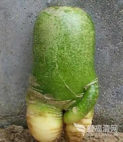 笑死你,不偿命······ - 搞笑星球 - zeze!啧啧