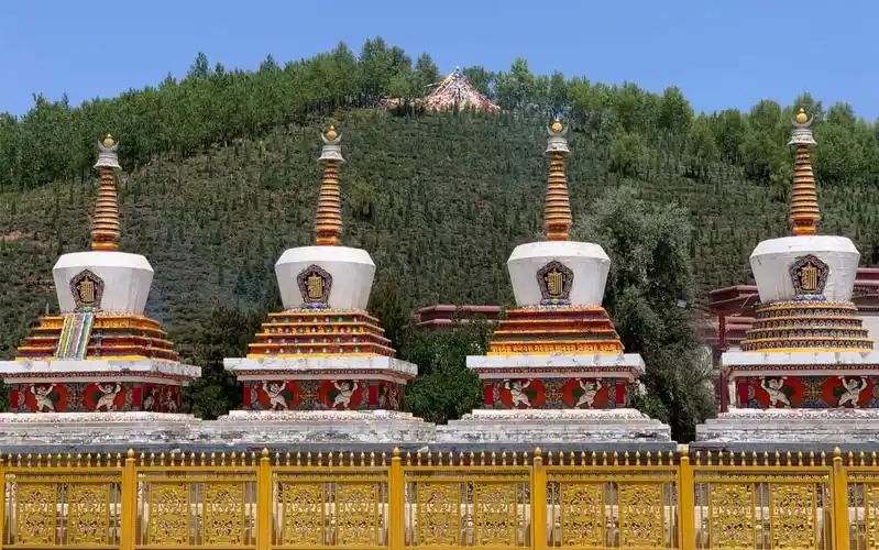 这是我去年暑假去青海旅游时在塔尔寺景区里照的藏传佛教佛塔和寺庙