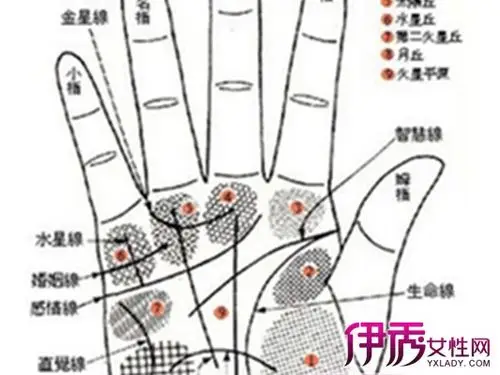 【图】女人手背痣相图解介绍 小编为你解答