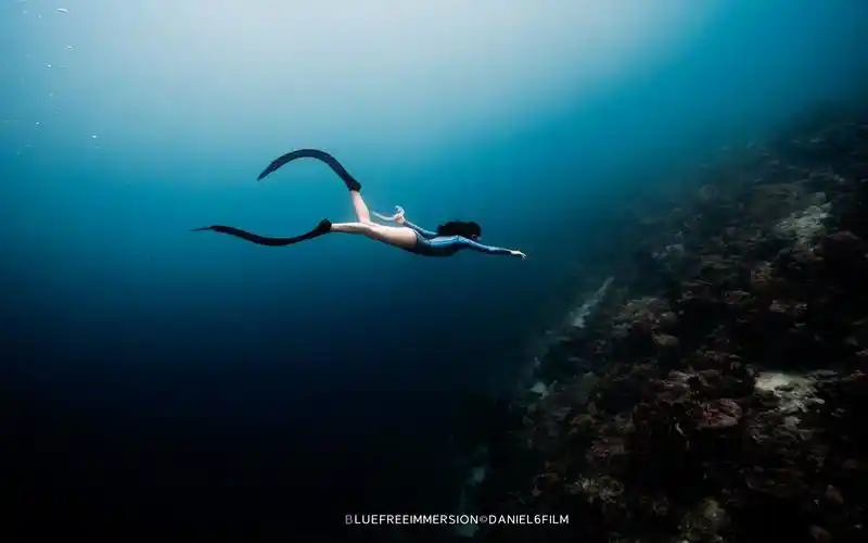 2023年5月仙本那自由潜水水下摄影