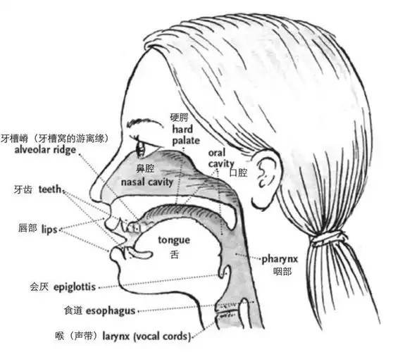 你真的了解头腔共鸣吗来看看这位洲著名男高音的演绎吧