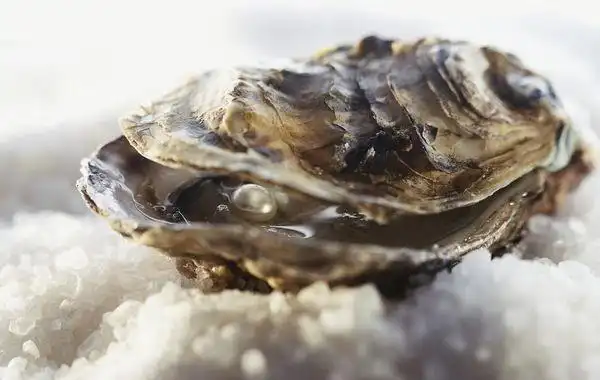 珍珠贝里的珍珠被掏出来了这个珍珠贝还有珍珠吗?