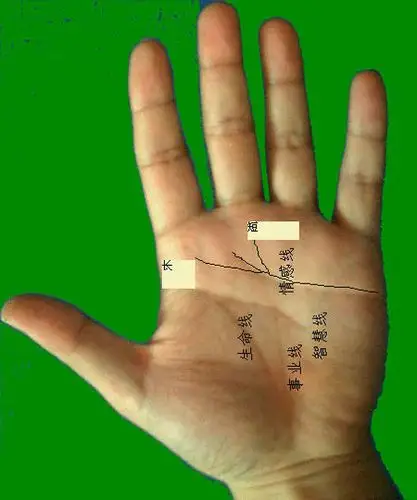 凤眼纹的四种手相不缺钱