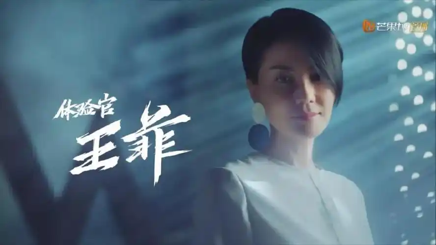 幻乐之城梦中人王菲