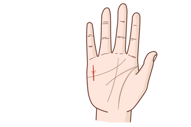 手相财运线看财运