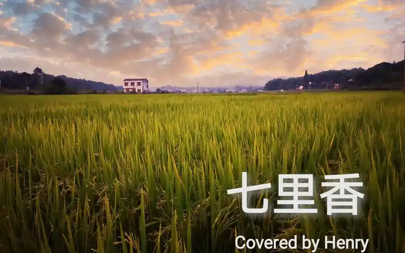 【七里香-周杰伦】covered by henry 自制mv