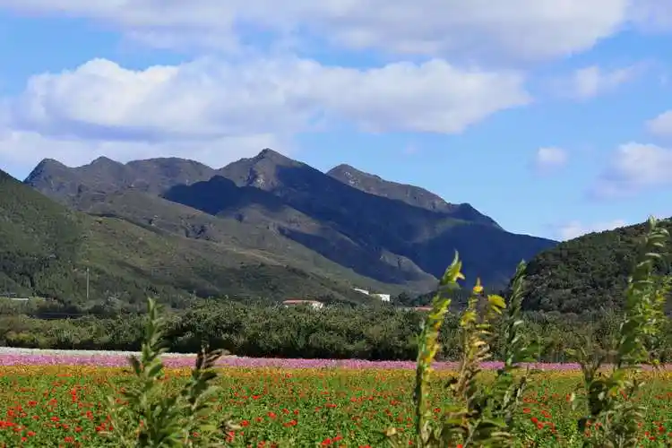 秋游怀柔圣泉山千亩花海