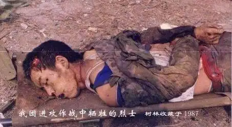 对越反击战中珍贵的历史照片