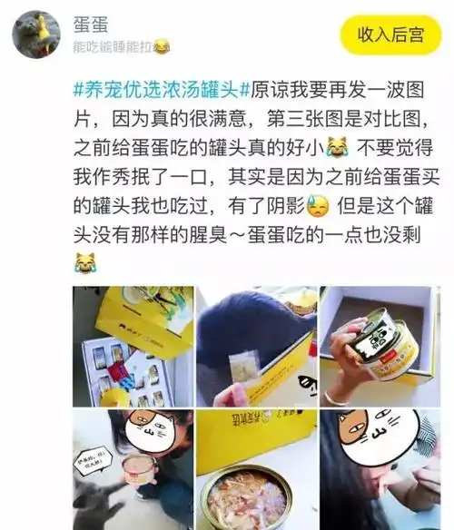 猫有两次生命,一次是出生,一次是遇见你.