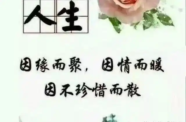 爱惜自己身体的句子懂得珍惜才配拥有