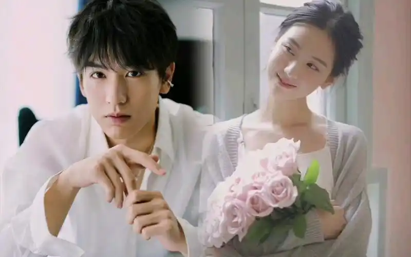 南京爱情故事南航校花陈都灵×南师大校草张凌赫