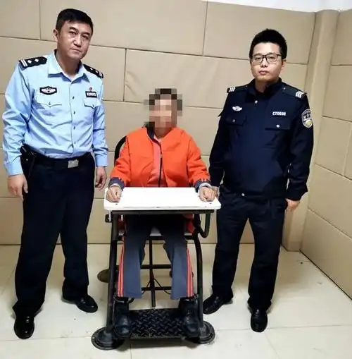 步履不停!丛台公安抓获九名违法犯罪人员_政务_澎湃新闻-the paper